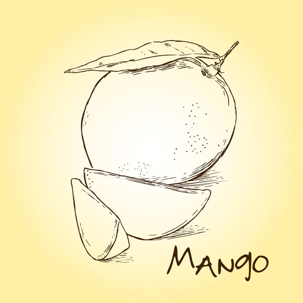 Векторный контур манго — стоковый вектор