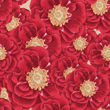 Sorunsuz vektör kırmızı Şakayık desen