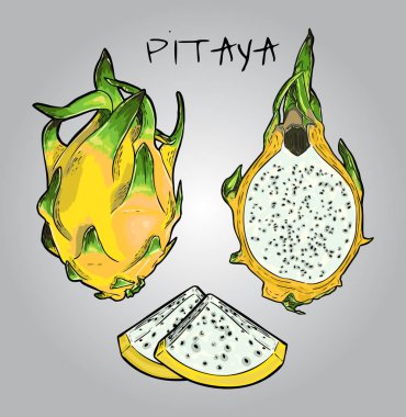 Vektör sarı Dragon meyve