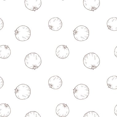 Kesintisiz anahat vektör nar desen