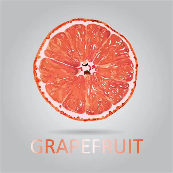 Vector grapefrukt segment — Stock vektor