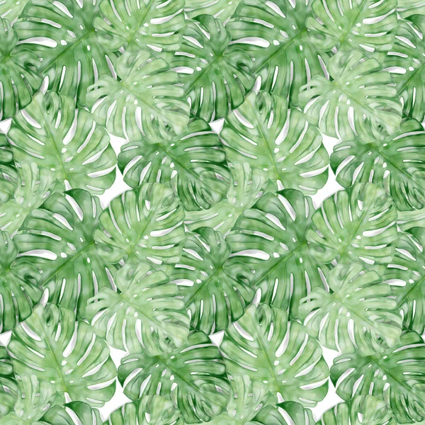 Seamless Watercolor Exotic Leaves Pattern — Stock Photo, Image