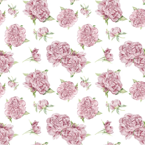 Varrat nélküli akvarell pünkösdi rózsa minta — Stock Fotó