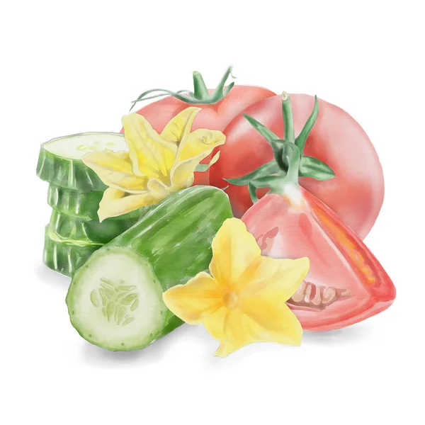 Acuarela pepino y tomate Ilustración — Foto de Stock