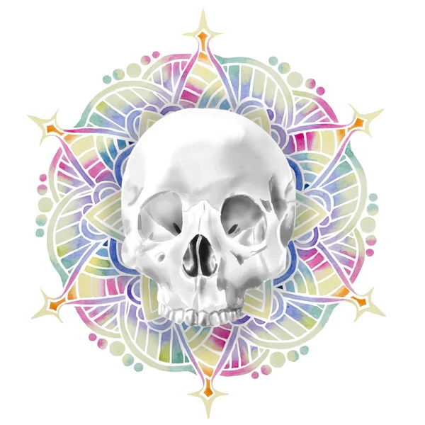 Mandala colorida aquarela e ilustração do crânio — Fotografia de Stock