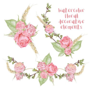 Suluboya gül süslemeleri Set