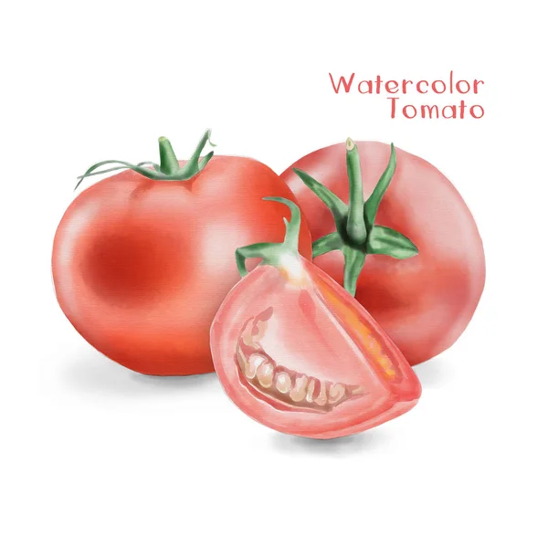 Watercolor Tomato Illustration — Stock Photo, Image