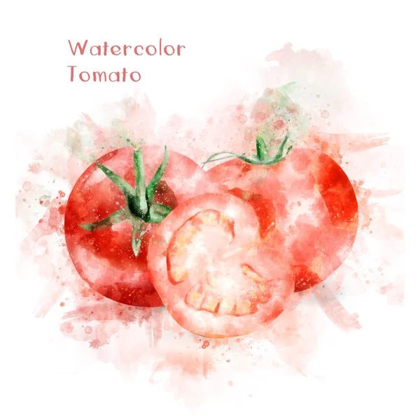 水彩番茄的插图 — 图库照片