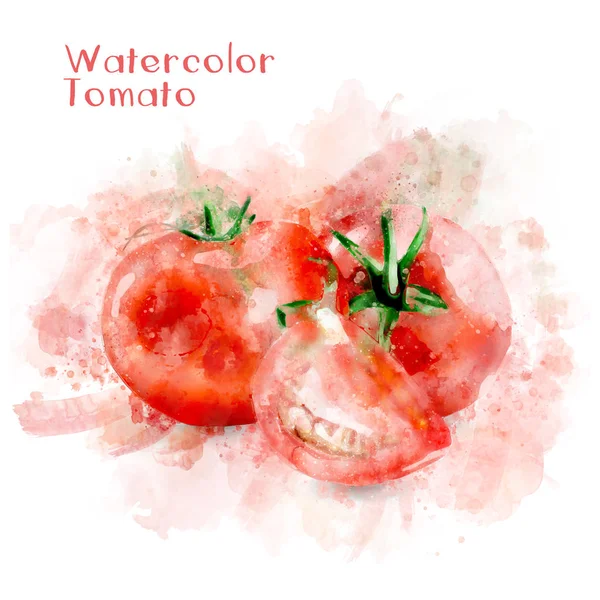 Акварельная томатная иллюстрация — стоковое фото