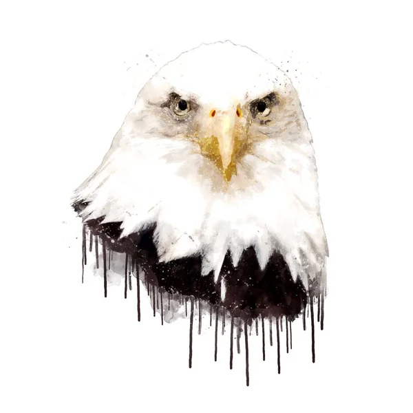 Акварель Американський орел Ілюстрація — стокове фото