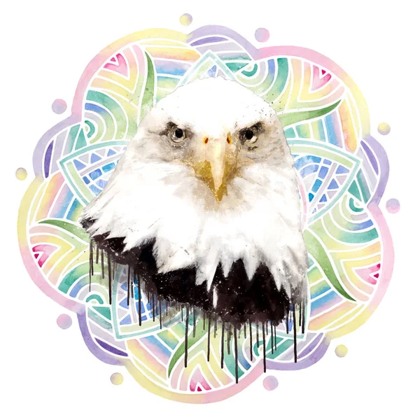 Aquarel American Eagle illustratie — Stockfoto