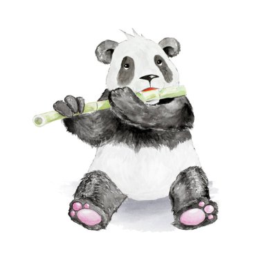 Suluboya elle çizilmiş karikatür Panda