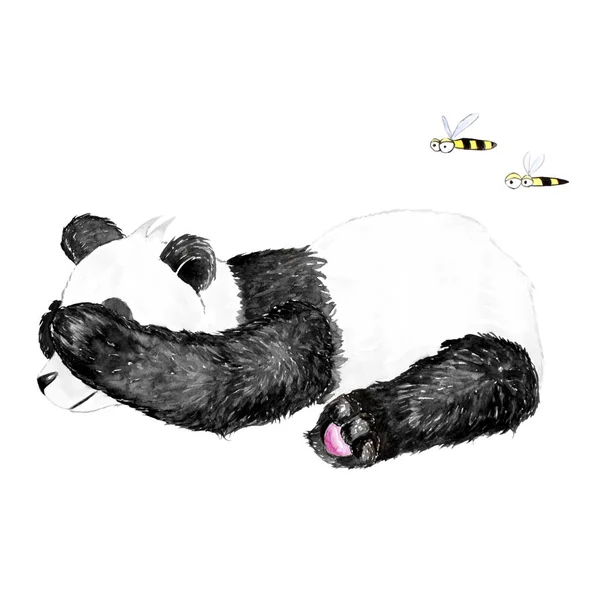 Watercolor Hand Drawn Cartoon Panda