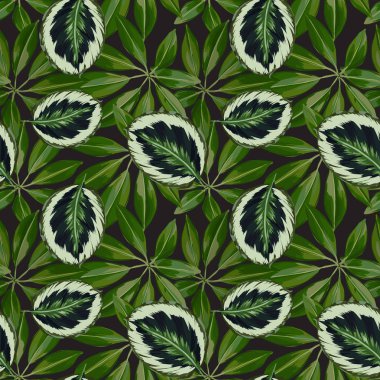 Sorunsuz vektör egzotik yaprakları desen