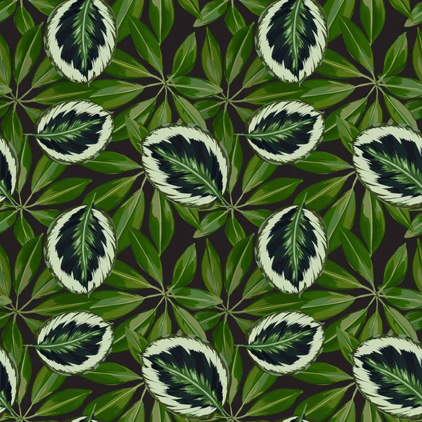 Modèle de feuilles exotiques vectorielles sans couture — Image vectorielle
