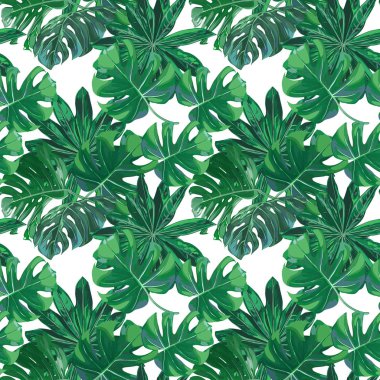 Sorunsuz vektör egzotik yaprakları desen
