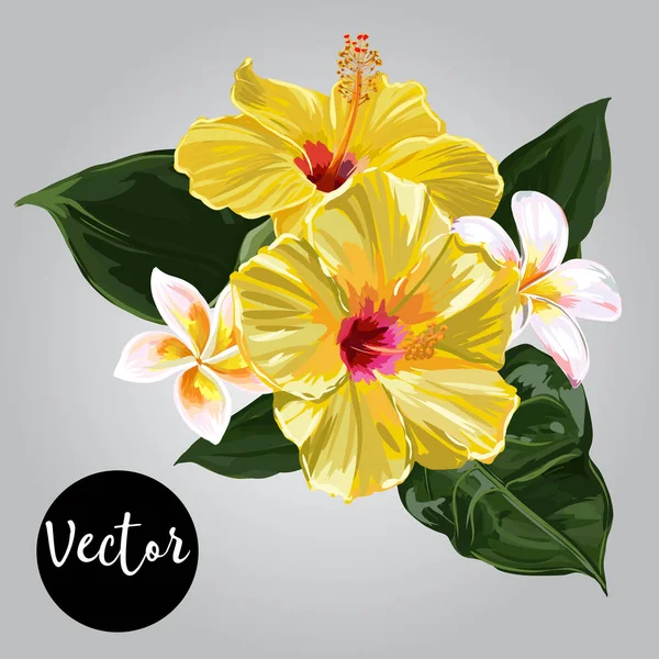 ベクトルの熱帯の花セット — ストックベクタ