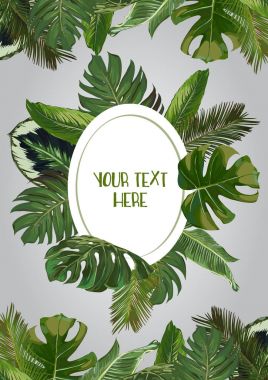 Vektör egzotik bitkiler çerçeve