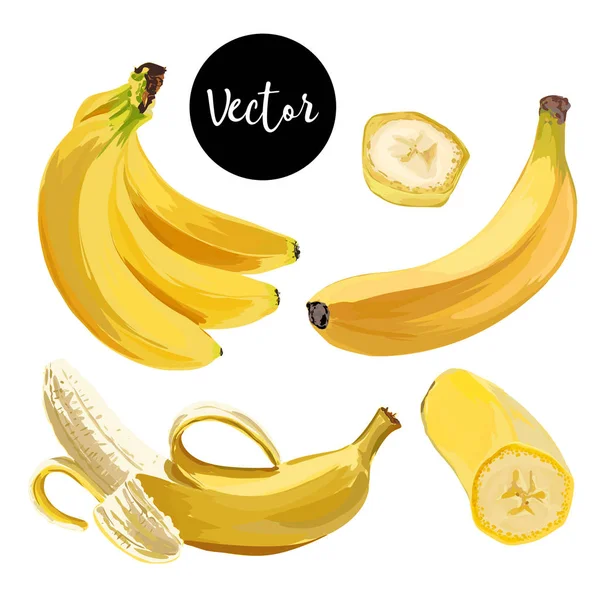 Vector Banana Illustration Set — Stock Vector