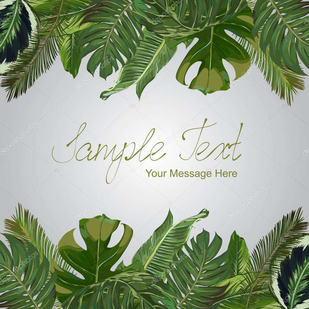 Vector Exotic Plants Frame