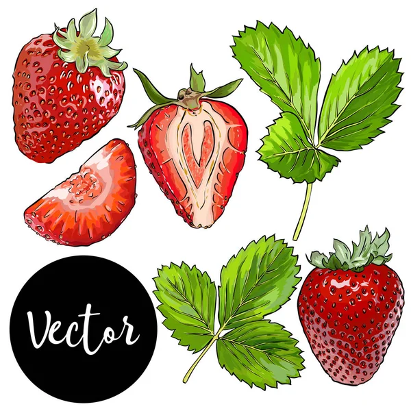 Ensemble de fraises vectorielles — Image vectorielle