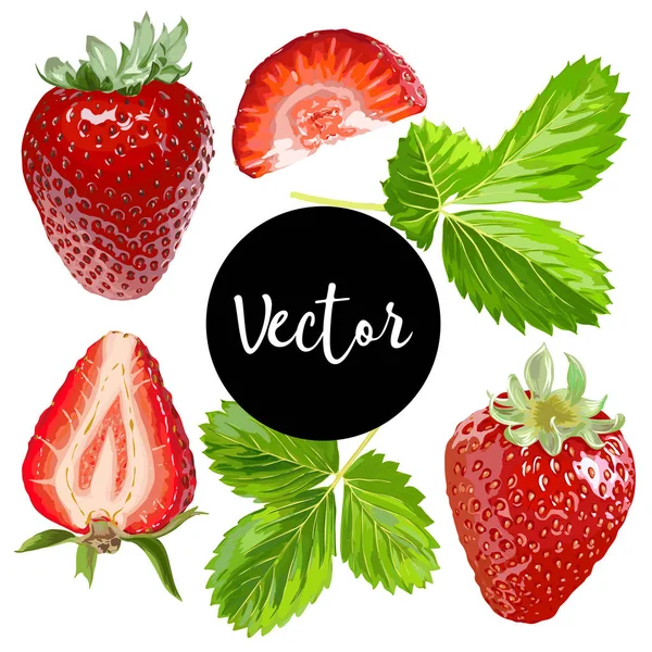 Ensemble de fraises vectorielles — Image vectorielle