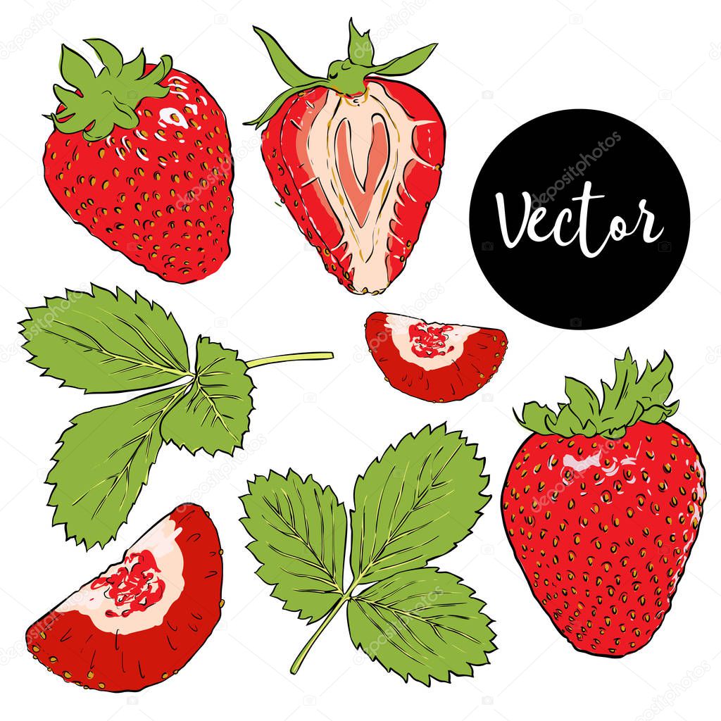 Vector Strawberries Set