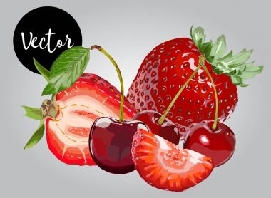 Vektör çilek ve vişne illüstrasyon