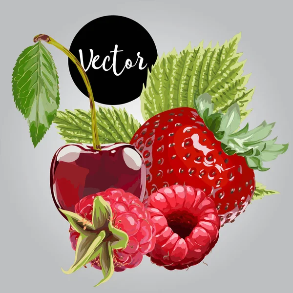 Vektor jordgubb, körsbär och hallon Illustration — Stock vektor