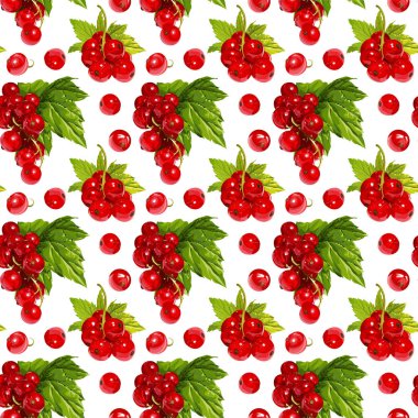 Sorunsuz vektör Frenk üzümü desen