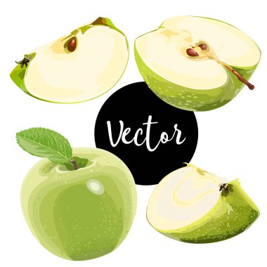 Vektör yeşil elma illüstrasyon Set