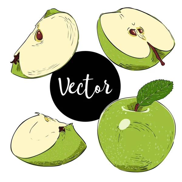 Ensemble d'illustration de pomme verte vectorielle — Image vectorielle