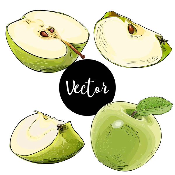 Ensemble d'illustration de pomme verte vectorielle — Image vectorielle