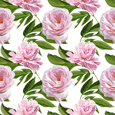 Sorunsuz vektör pembe Peonies desen