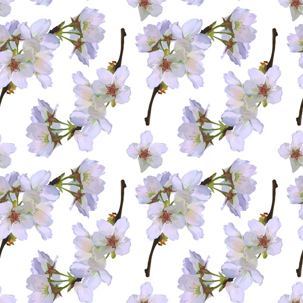 Seamless Vector Cherry Flowers Pattern — Stock Vector