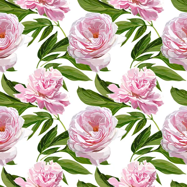 Sorunsuz vektör pembe Peonies desen