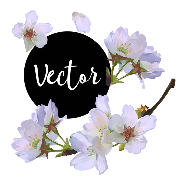 Set de ilustración de flores de cerezo vectorial — Archivo Imágenes Vectoriales