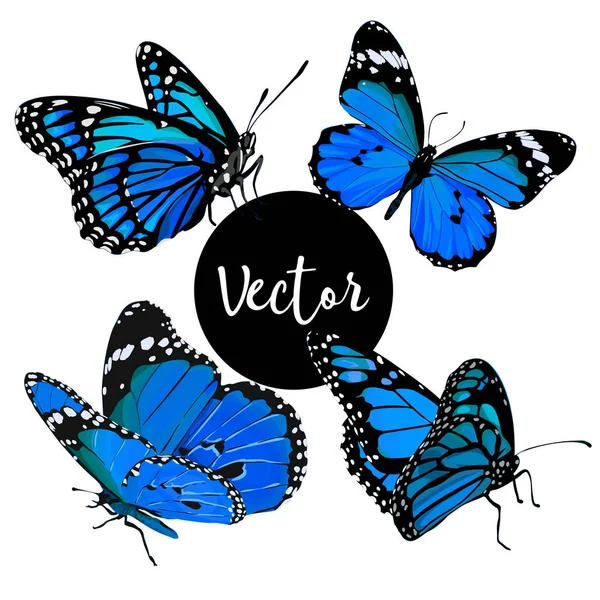 Ensemble d'illustration de papillons vectoriels — Image vectorielle