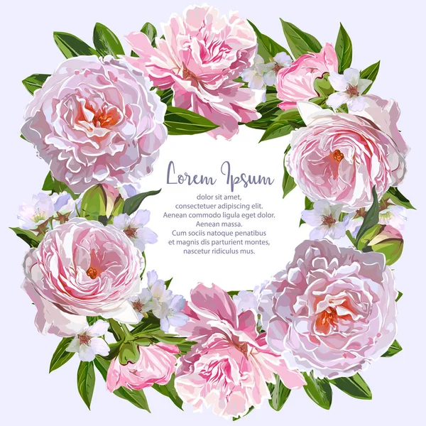 Vektör Peonies çerçeve çizim