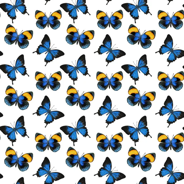 Seamless Vector Butterflies Pattern — Stock Vector