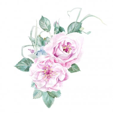 Suluboya çiçek kompozisyon illüstrasyon