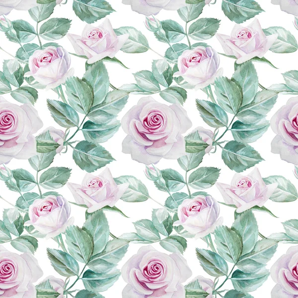 완벽 한 장미 수채화 패턴 — 스톡 사진