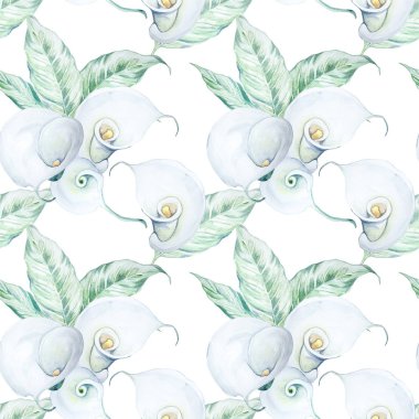 Sorunsuz suluboya beyaz Calla çiçek deseni