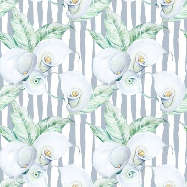 Sorunsuz suluboya beyaz Calla çiçek deseni