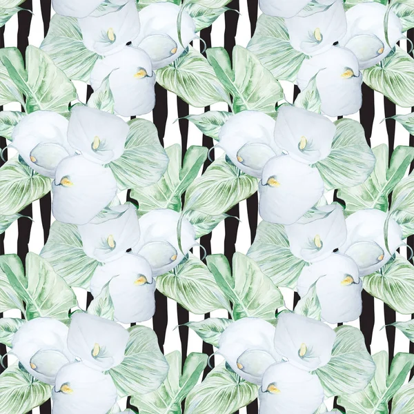 Бесшовный акварель White Calla Flowers Pattern — стоковое фото