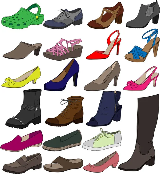 Vetor Sapatos Femininos Ilustração —  Vetores de Stock