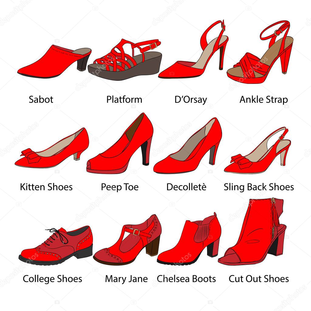 Vector Female Shoes Illustration