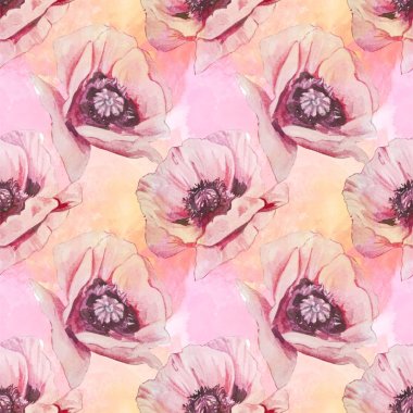 Sorunsuz suluboya pembe Poppies desen 
