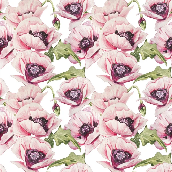 Seamless Watercolor Pink Poppies Pattern — Stock Photo, Image