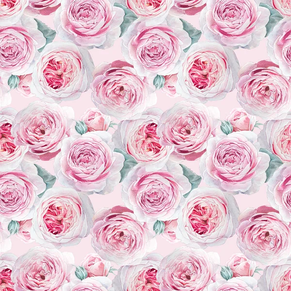 Patrón Rosas Rosadas Acuarela Transparente —  Fotos de Stock